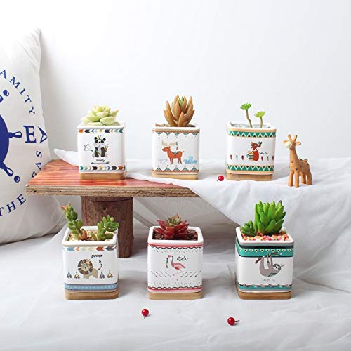 Zamtac Set of 6 Cartoon Animal Painting Planters Ceramic Succulent Plant Pot Porcelain Desktop Bonsai Planter Flamingo Panda Fox