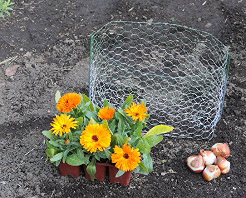 The Original RootGuardTM Heavy Duty Gopher Wire Baskets (12 3-Gallon Baskets)