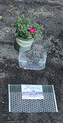 The Original RootGuardTM Heavy Duty Gopher Wire Baskets (12 3-Gallon Baskets)