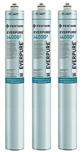 everpure ev9612-32 i4000 2 filter cartridge (pack of 3)
