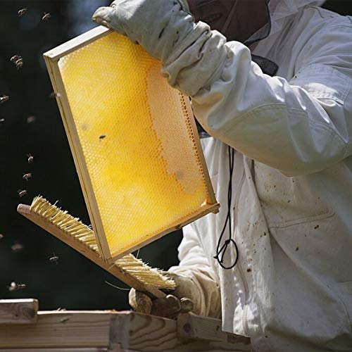 KISSTAKER 15PCS Bee Honey Sheets Beehive Wax Foundation Beekeeping Equipment Bee Comb Honey Frame