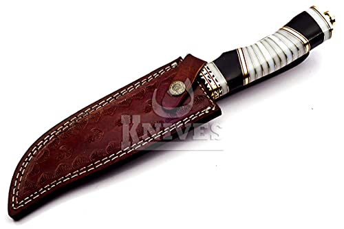 NoonKnives: Hand Made Damascus Steel Collectible Bowie Knife Handle Camel Bone with Bull Horn (Black and White)