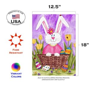 Toland Home Garden 1112307 Long Eared Bunny Easter Flag 12x18 Inch Double Sided Easter Garden Flag for Outdoor House Eggs Flag Yard Decoration