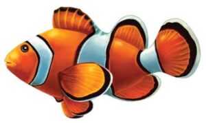 clown fish porcelain swimming pool mosaic (5" x 3")