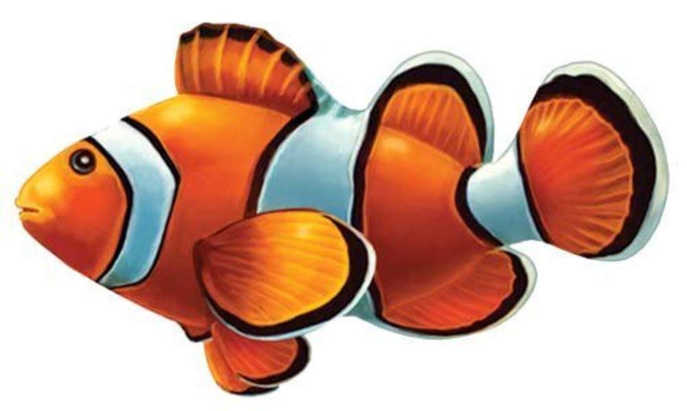 Clown Fish Porcelain Swimming Pool Mosaic (5" x 3")