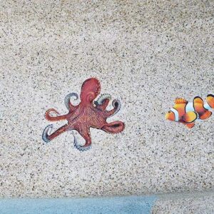 Clown Fish Porcelain Swimming Pool Mosaic (5" x 3")