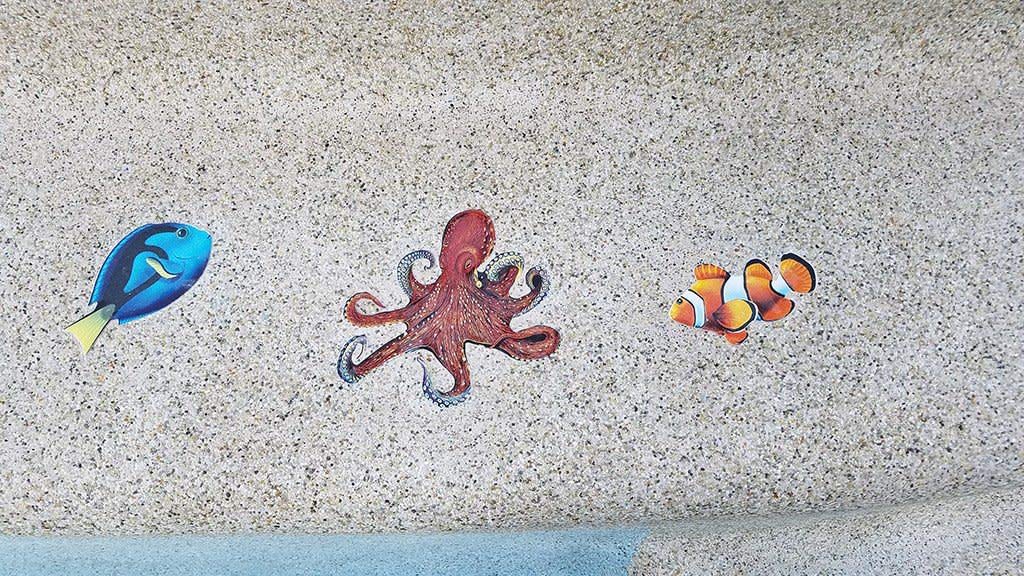 Clown Fish Porcelain Swimming Pool Mosaic (5" x 3")