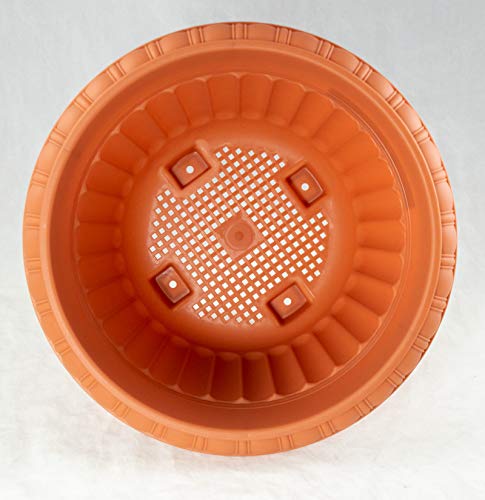 Japanese Plastic Bonsai Training Pot/Garden Planter 10.5"x 10.5"x 7" - Orange