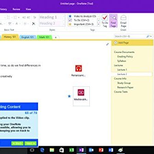 Professor Teaches Office 2016 [PC Download]