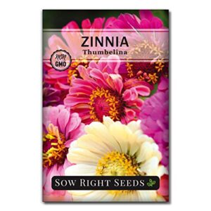 sow right seeds thumbelina zinnia seeds - full instructions for planting, beautiful to plant in your flower garden; non-gmo heirloom seeds; wonderful gardening gifts (1)