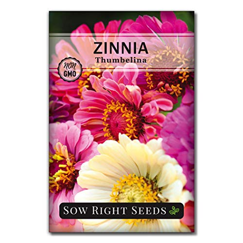 Sow Right Seeds Thumbelina Zinnia Seeds - Full Instructions for Planting, Beautiful to Plant in Your Flower Garden; Non-GMO Heirloom Seeds; Wonderful Gardening Gifts (1)