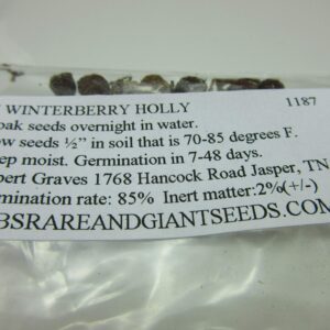 1187-Red Holly Winter Berry (Ilex verticillata) Seeds by Robsrareandgiantseeds UPC0764425788317 Non-GMO,Organic,USA Grower,Bonsai,1187 Package of 7 Seeds