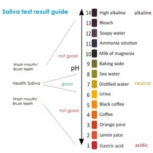 Merlin Scientific PH Test Strips,PH1-14 Test Paper for Saliva Urine Water Soil Testing Universal Application by Shellvcase (400)