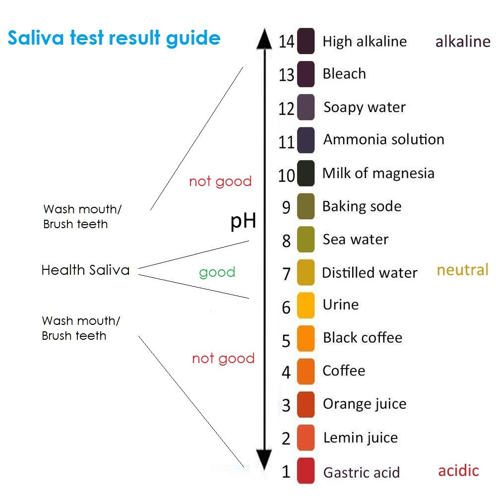 Merlin Scientific PH Test Strips,PH1-14 Test Paper for Saliva Urine Water Soil Testing Universal Application by Shellvcase (400)