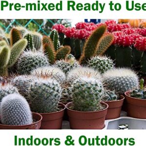 WONDER SOIL | Organic Cactus & Succulent Soil (12 Quarts). Fast Draining Ready to Plant Coco Coir Loaded w/Nutrients | 3 LBS Expands to 12 Quarts | Incl Worm Castings & Nutrients