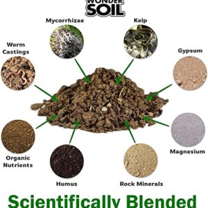 WONDER SOIL | Organic Cactus & Succulent Soil (12 Quarts). Fast Draining Ready to Plant Coco Coir Loaded w/Nutrients | 3 LBS Expands to 12 Quarts | Incl Worm Castings & Nutrients