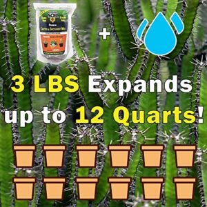 WONDER SOIL | Organic Cactus & Succulent Soil (12 Quarts). Fast Draining Ready to Plant Coco Coir Loaded w/Nutrients | 3 LBS Expands to 12 Quarts | Incl Worm Castings & Nutrients