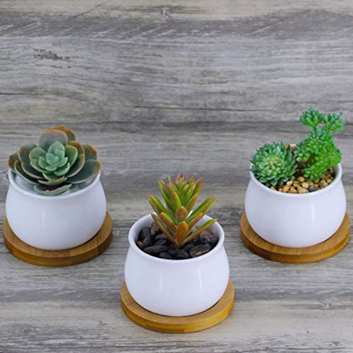 OYSIR 6pcs 3 inch Bamboo Round Plant Saucer, Mini Flower Pot Tray for Cactus Plant Pot Flower Pot Container Planter Bonsai Pots,no Plants Pot