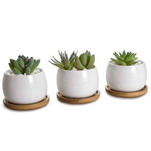 OYSIR 6pcs 3 inch Bamboo Round Plant Saucer, Mini Flower Pot Tray for Cactus Plant Pot Flower Pot Container Planter Bonsai Pots,no Plants Pot