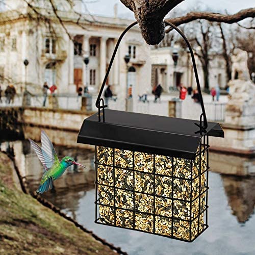 FORUP Suet Bird Feeder, Hanging Suet Feeder, Single Suet Cake Bird Feeder, One Suet Capacity