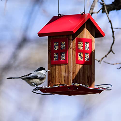 Kingsyard Cute Bird House Feeders for Outside, Hanging Metal Bird Feeder with 4 Ports, Outdoor Garden Decorations for Bird Watching
