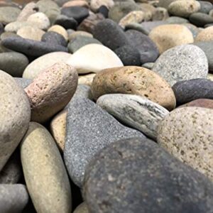 LF Inc. 50 Lb. Premium Large Mixed Mexican Stone Beach Pebbles 3-5 inches, Decor, Garden, Landscape, Pathways, Backyard, Rock Pebbles