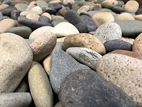 LF Inc. 50 Lb. Premium Large Mixed Mexican Stone Beach Pebbles 3-5 inches, Decor, Garden, Landscape, Pathways, Backyard, Rock Pebbles