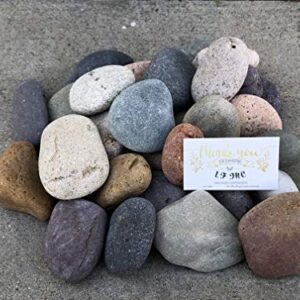 LF Inc. 50 Lb. Premium Large Mixed Mexican Stone Beach Pebbles 3-5 inches, Decor, Garden, Landscape, Pathways, Backyard, Rock Pebbles