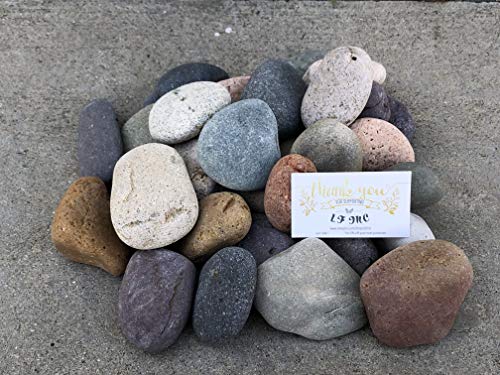 LF Inc. 50 Lb. Premium Large Mixed Mexican Stone Beach Pebbles 3-5 inches, Decor, Garden, Landscape, Pathways, Backyard, Rock Pebbles