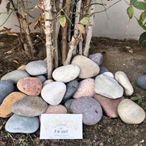 LF Inc. 50 Lb. Premium Large Mixed Mexican Stone Beach Pebbles 3-5 inches, Decor, Garden, Landscape, Pathways, Backyard, Rock Pebbles