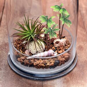 Amosfun 5Pcs Plastic Coconut Palm Tree Miniature Plant Pots Bonsai Craft Micro Landscape DIY Decor Wedding Valentine's Day Decoration