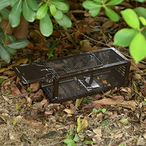 RatzFatz Mouse Trap Humane Live Cage, Catch and Release Mice, Rats, Chipmunks, Small Squirrels and Other Rodents, Sensitivity Adjustable, Pedal Design