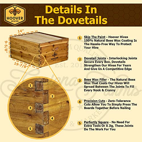 Hoover Hives 8 Frame Beehive Kit - Dipped in 100% Beeswax Includes Wooden Frames & Waxed Foundations (2 Deep Boxes, 1 Medium Box)