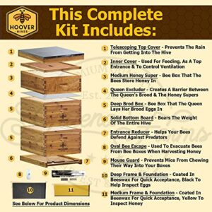 Hoover Hives 8 Frame Beehive Kit - Dipped in 100% Beeswax Includes Wooden Frames & Waxed Foundations (2 Deep Boxes, 1 Medium Box)