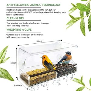 Window Bird Feeder with Strong Suction Cups - Innovative Anti-Yellowing Acrylic Technology - Extra Large 4 Cups Lock in Place Seed Tray