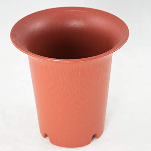 3 Round Cascade Plastic Bonsai Pot, Succulent & Orchid Planter 4.25"
