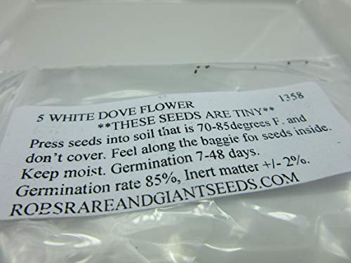 1358-White Dove/Egret Flower (Pecteilis,Habenaria radiata) Seeds by Robsrareandgiantseeds UPC0764425788737 Non-GMO,Organic,USA Grower,Historic plants,Showy,Bonsai,Exotic,Orchid,1358 Package of 5 Seeds