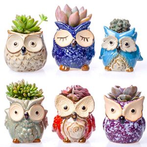 claywa ceramic owl succulent pots cute animal plant planters 2.75" to 3.35" with drainage pack of 6 plants not included