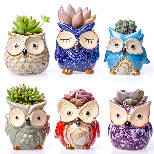 Claywa Ceramic Owl Succulent Pots Cute Animal Plant Planters 2.75" to 3.35" with Drainage Pack of 6 Plants Not Included