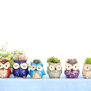 Claywa Ceramic Owl Succulent Pots Cute Animal Plant Planters 2.75" to 3.35" with Drainage Pack of 6 Plants Not Included