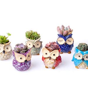 Claywa Ceramic Owl Succulent Pots Cute Animal Plant Planters 2.75" to 3.35" with Drainage Pack of 6 Plants Not Included