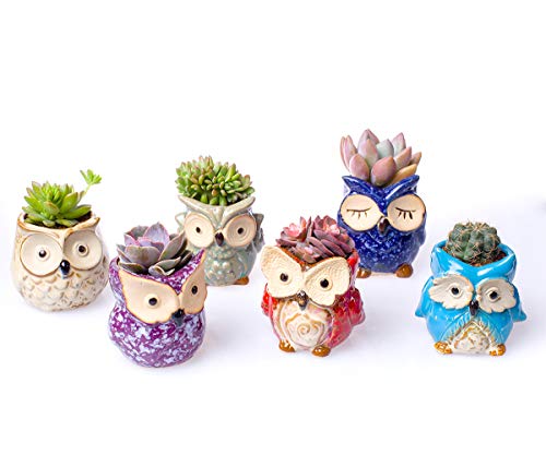 Claywa Ceramic Owl Succulent Pots Cute Animal Plant Planters 2.75" to 3.35" with Drainage Pack of 6 Plants Not Included