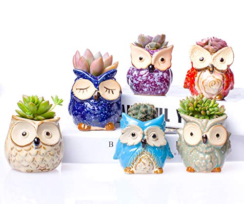 Claywa Ceramic Owl Succulent Pots Cute Animal Plant Planters 2.75" to 3.35" with Drainage Pack of 6 Plants Not Included