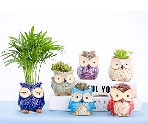 Claywa Ceramic Owl Succulent Pots Cute Animal Plant Planters 2.75" to 3.35" with Drainage Pack of 6 Plants Not Included