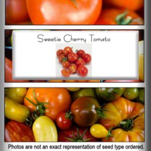 "Sweetie" Cherry Tomato Seeds for Planting, 200+ Heirloom Seeds Per Packet, (Isla's Garden Seeds), Non GMO Seeds, Sweet Flavor, Botanical Name: Solanum lycopersicum, Great Home Garden Gift