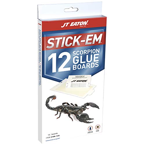 Stick-Em 198-12S 12 Pack Scorpion Glue Trap, Brown/A