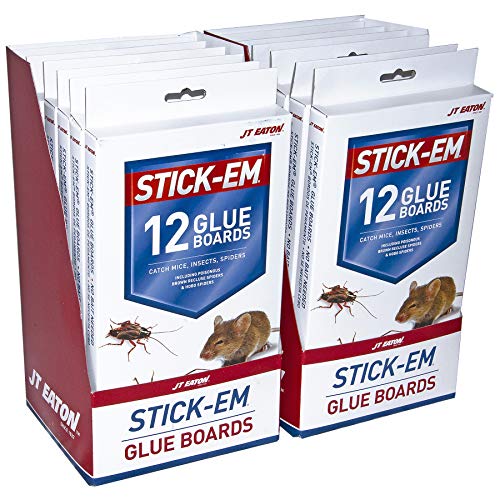 Stick-Em 198-12S 12 Pack Scorpion Glue Trap, Brown/A