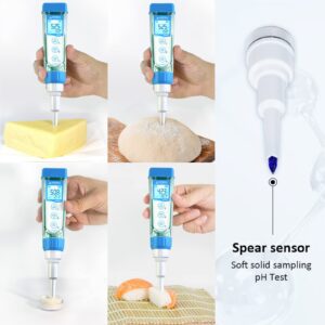 APERA INSTRUMENTS AI3713 PH60S-Z Smart Spear pH Tester for Food and Solid Sampling pH Measurement'