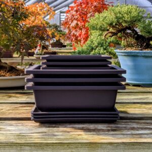 Tinyroots Bonsai Training Pots with Humidity Trays - Built in Mesh, 6" and 8" Large Planter Combo Pack + Made from Durable Shatter Proof Poly-Resin (Set of 6 Pot Set)…