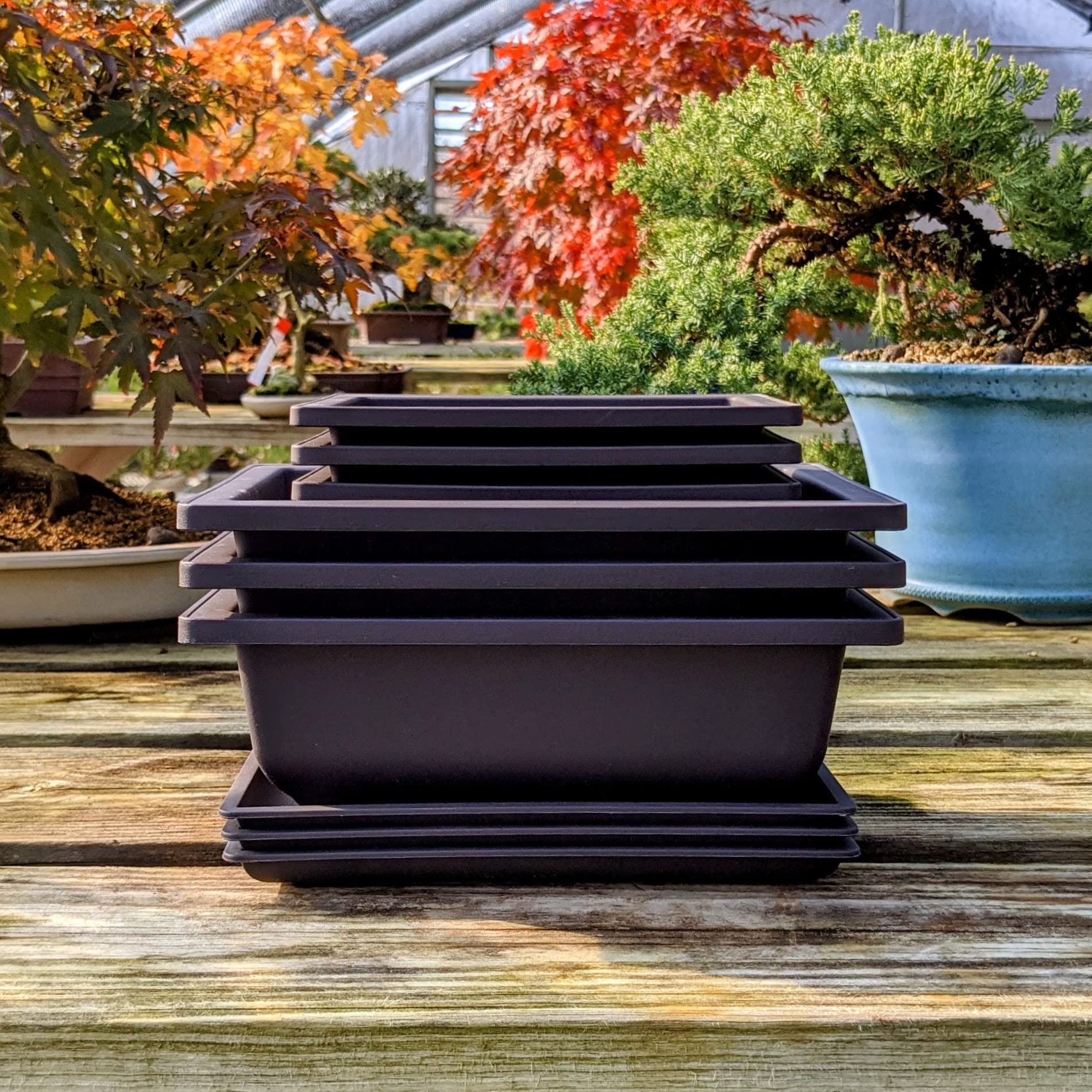 Tinyroots Bonsai Training Pots with Humidity Trays - Built in Mesh, 6" and 8" Large Planter Combo Pack + Made from Durable Shatter Proof Poly-Resin (Set of 6 Pot Set)…